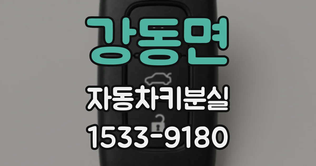강동면 자동차키분실