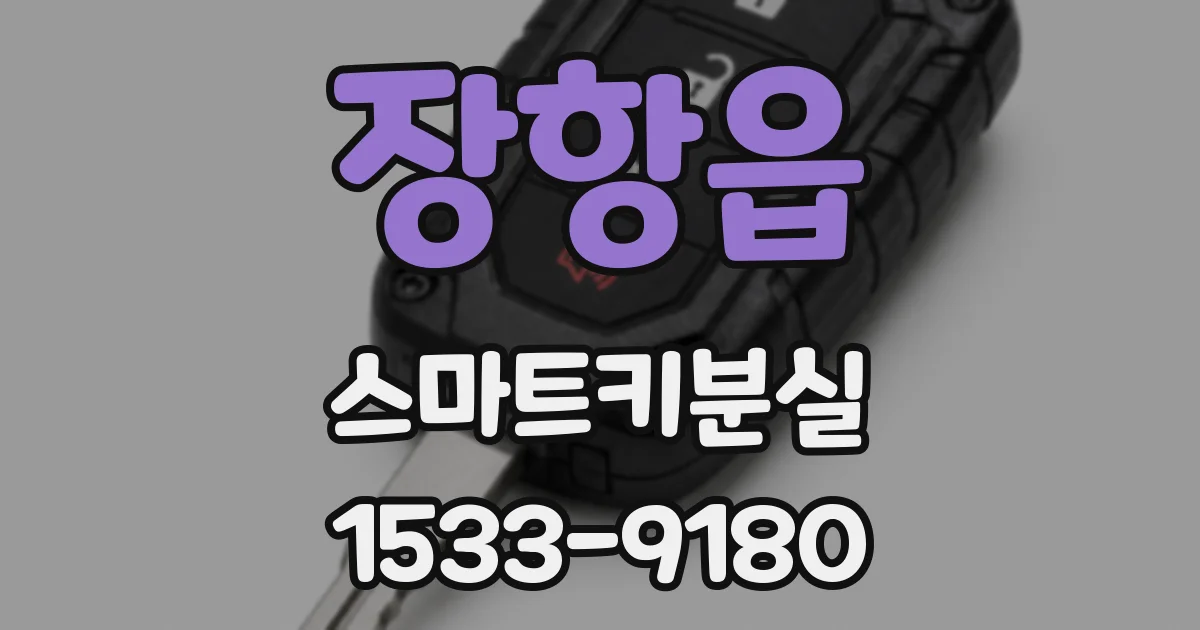 장항읍 스마트키분실