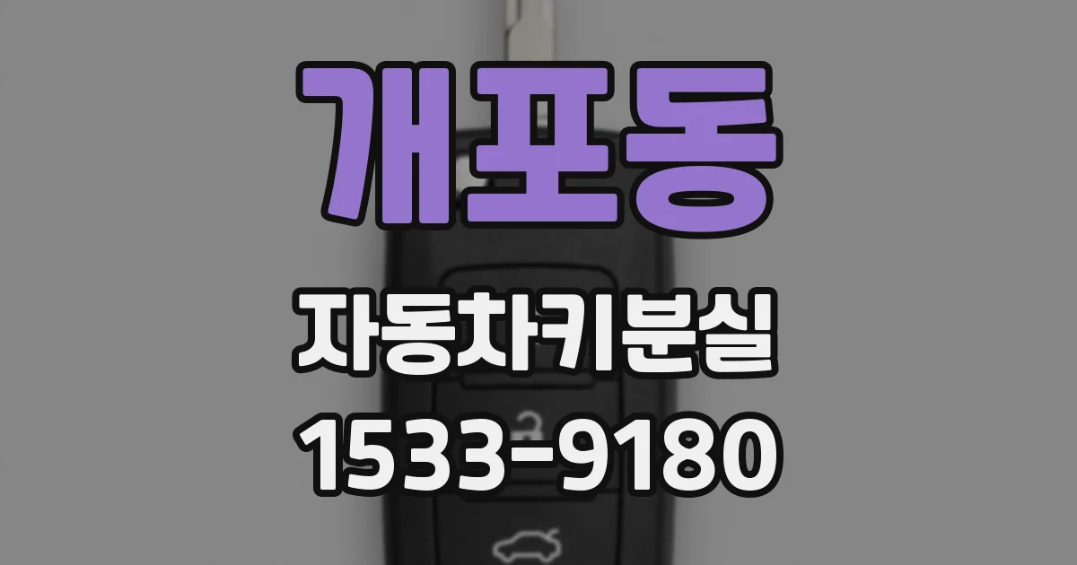 개포동 자동차키분실