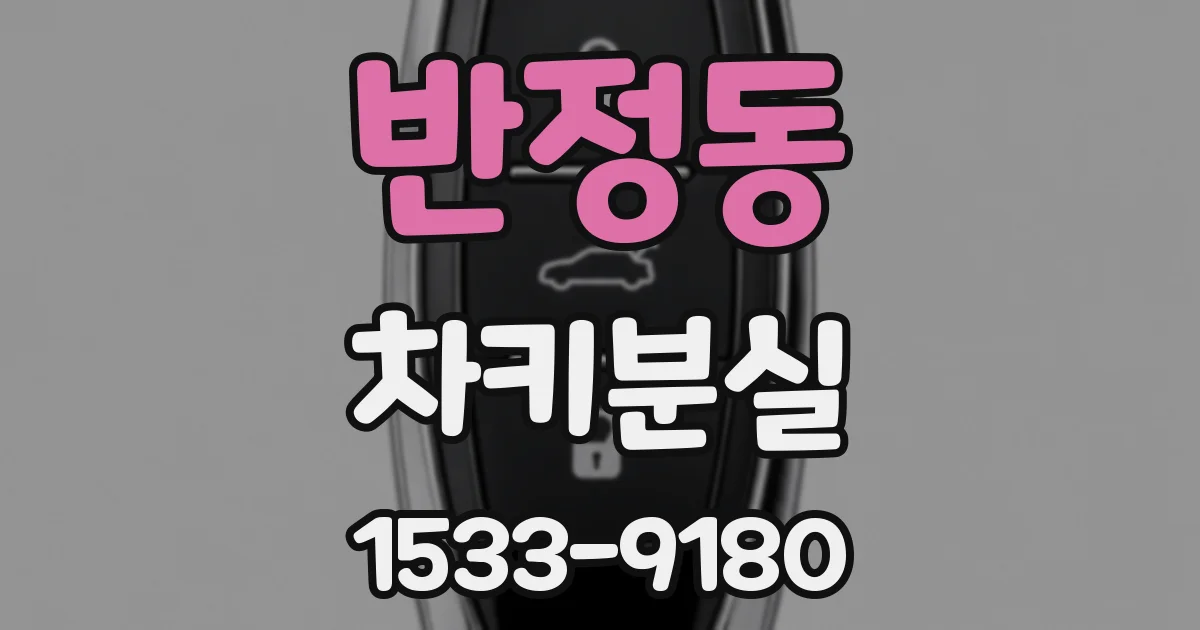반정동 차키분실