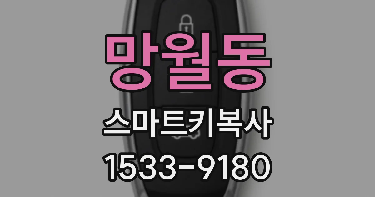 망월동 스마트키복사