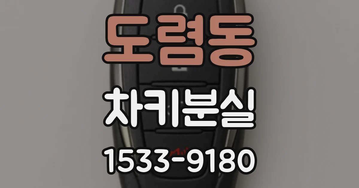 도렴동 차키분실