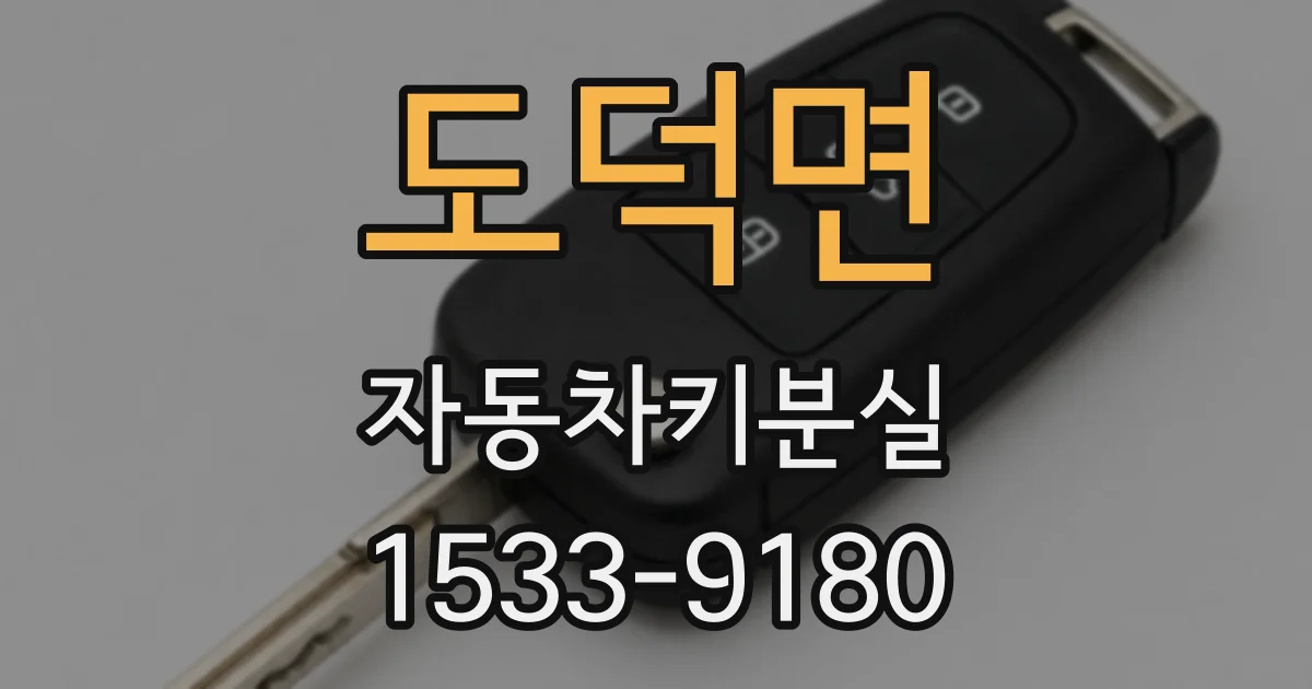 도덕면 자동차키분실