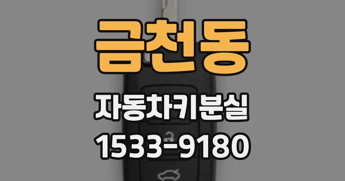 금천동 자동차키분실