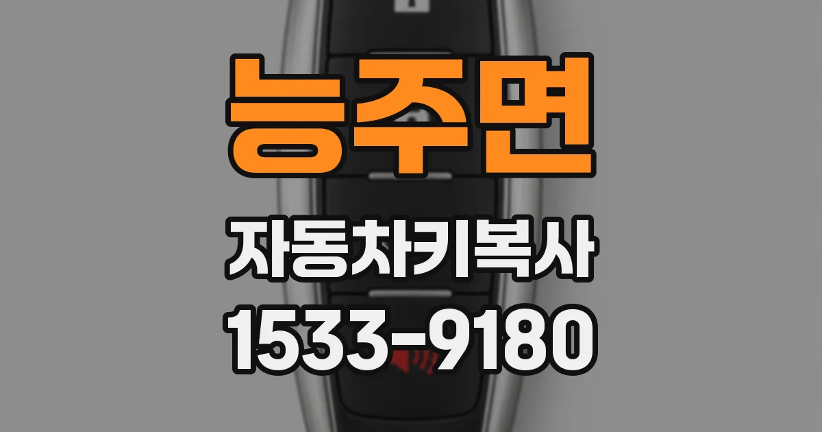 능주면 자동차키복사