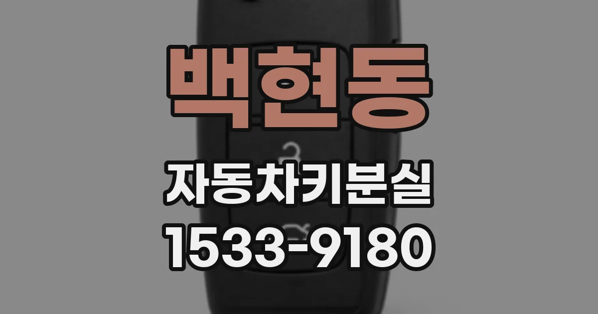 백현동 자동차키분실