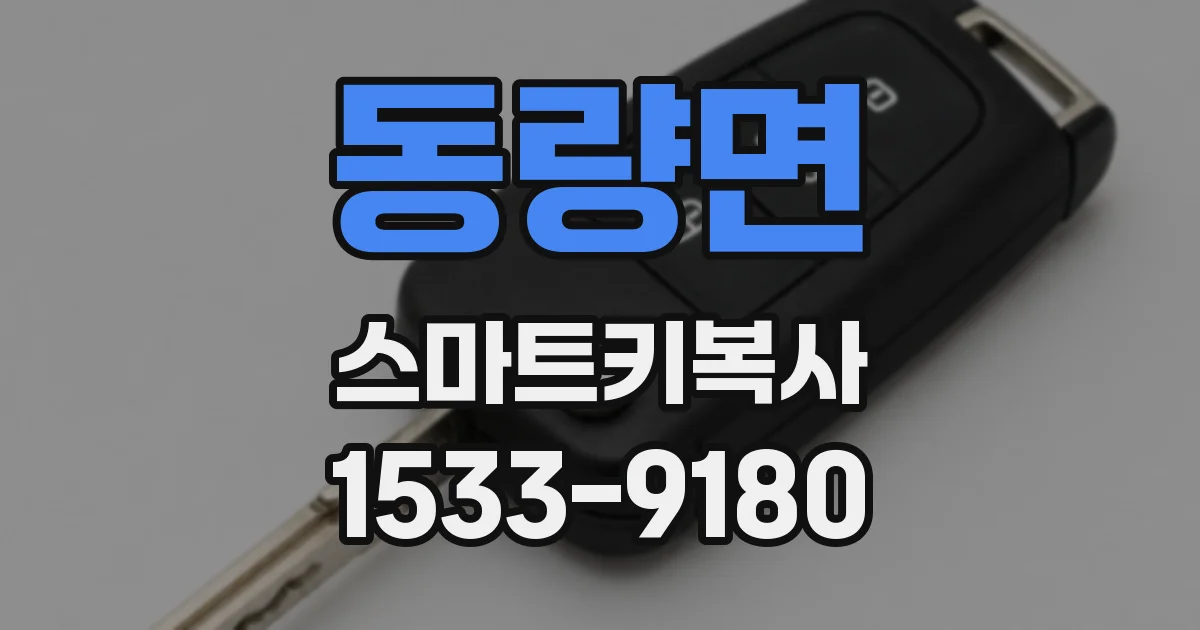 동량면 스마트키복사