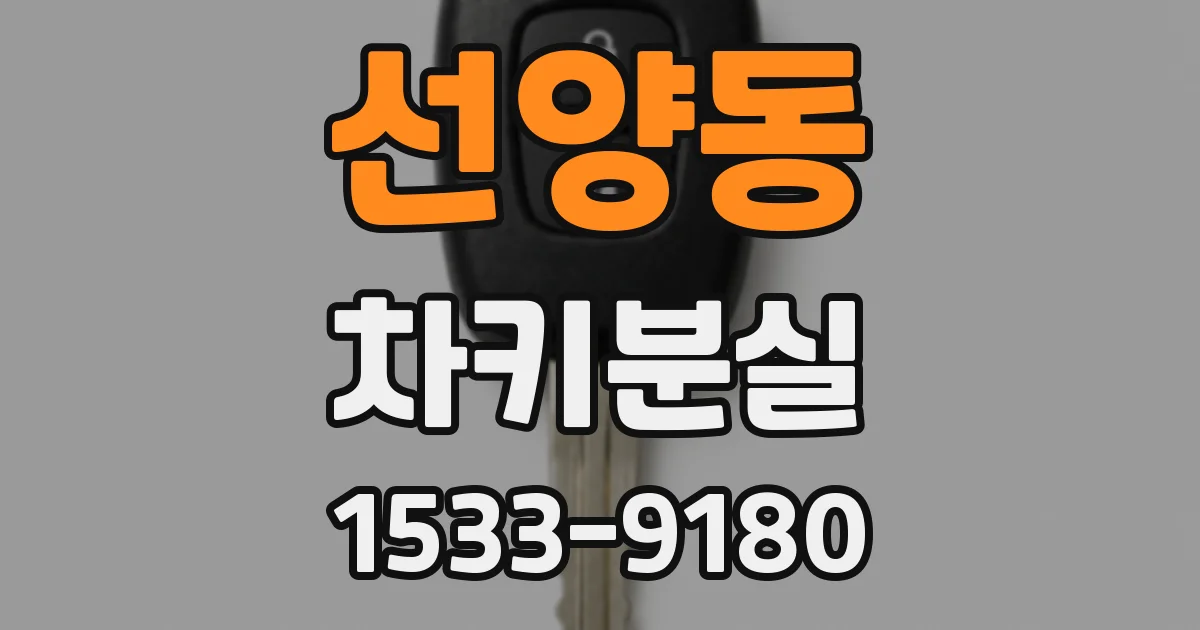 선양동 차키분실