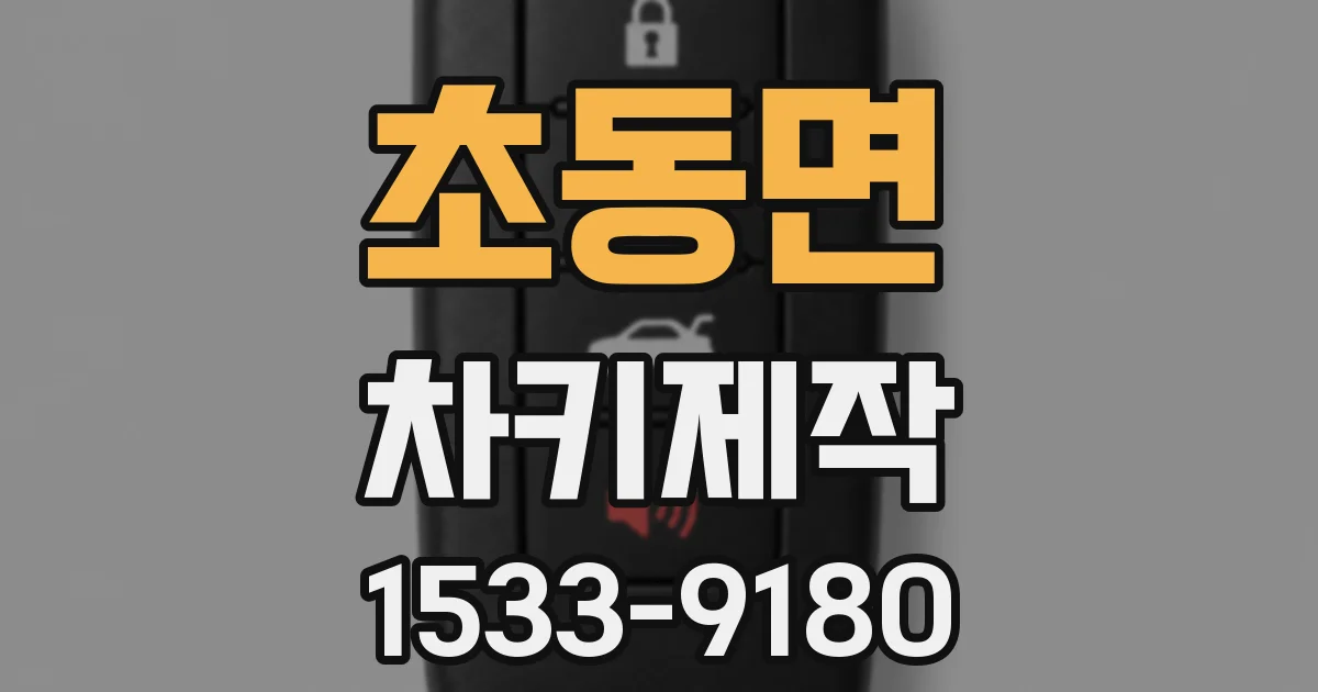초동면 차키제작