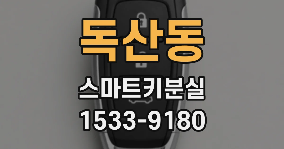 독산동 스마트키분실
