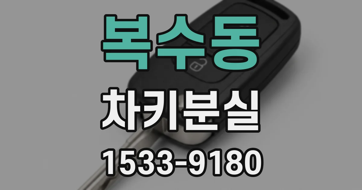 복수동 차키분실