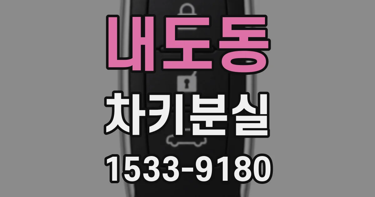 내도동 차키분실