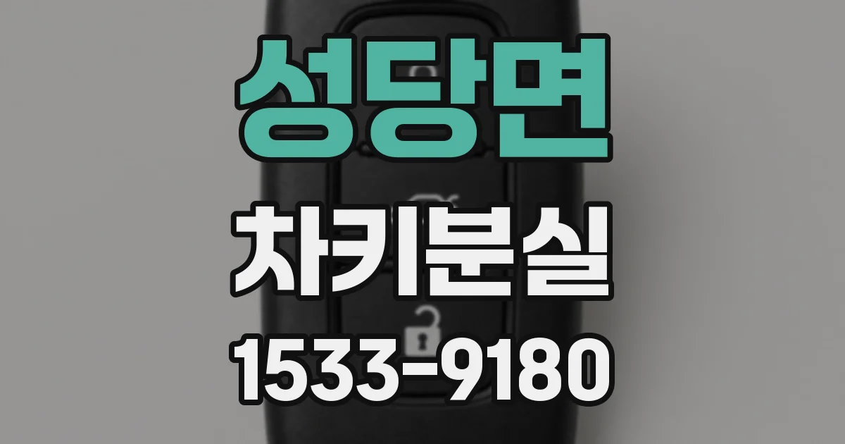 성당면 차키분실