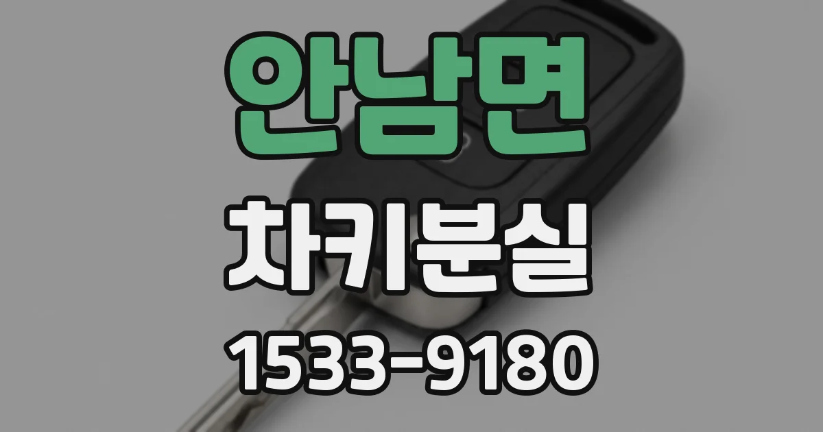 안남면 차키분실