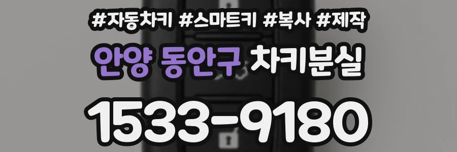 안양 동안구 차키분실