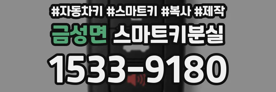 금성면 스마트키분실