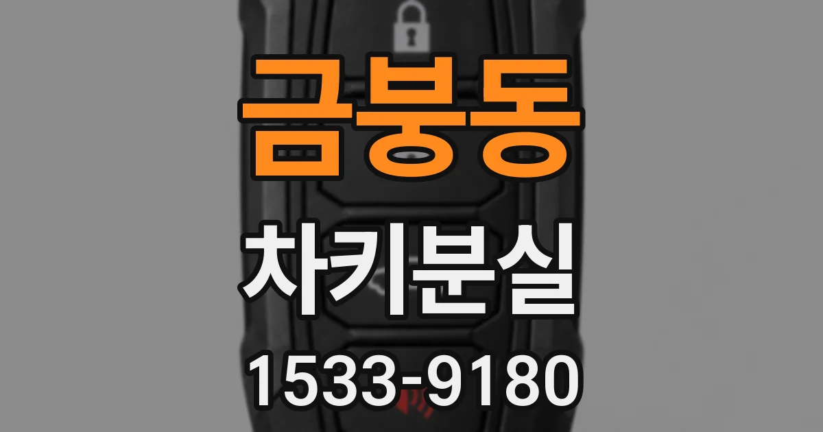 금붕동 차키분실