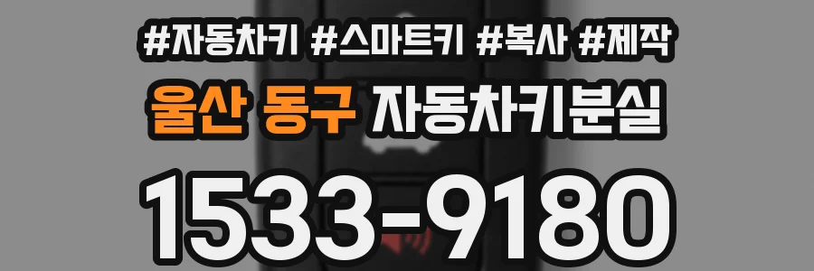 울산 동구 자동차키분실