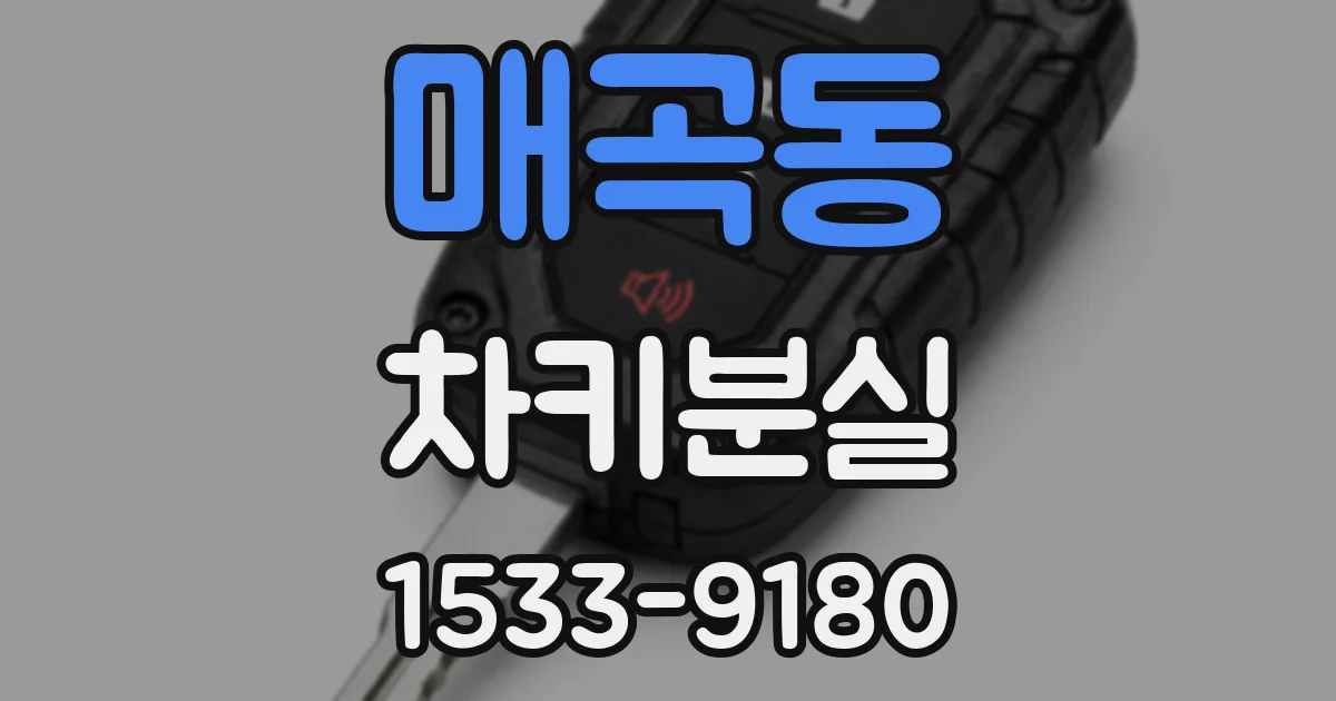 매곡동 차키분실