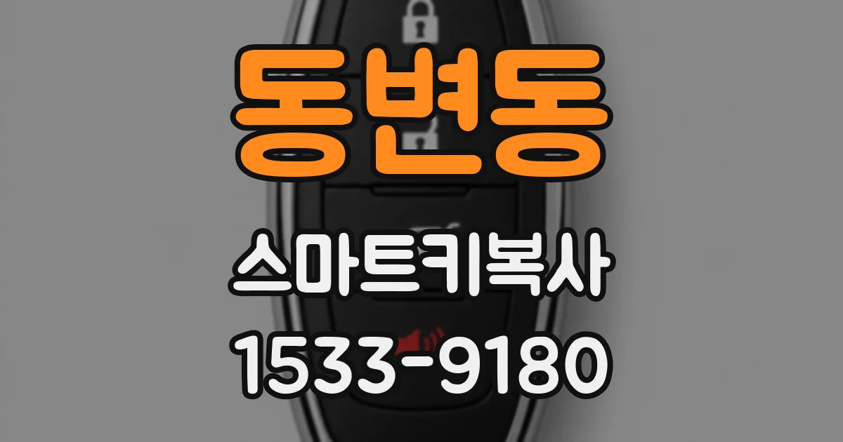 동변동 스마트키복사