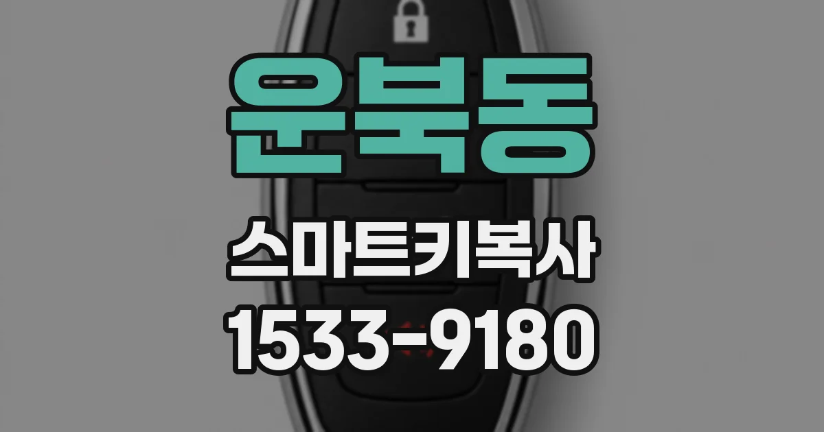 운북동 스마트키복사