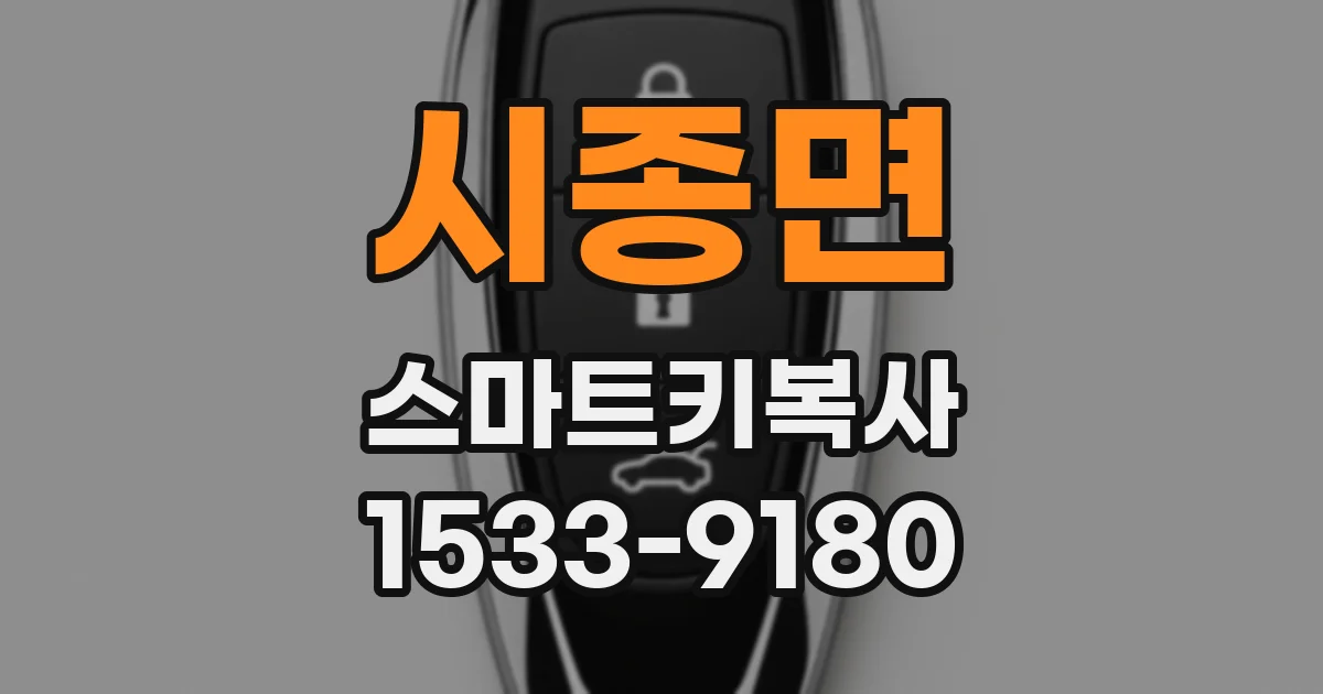 시종면 스마트키복사
