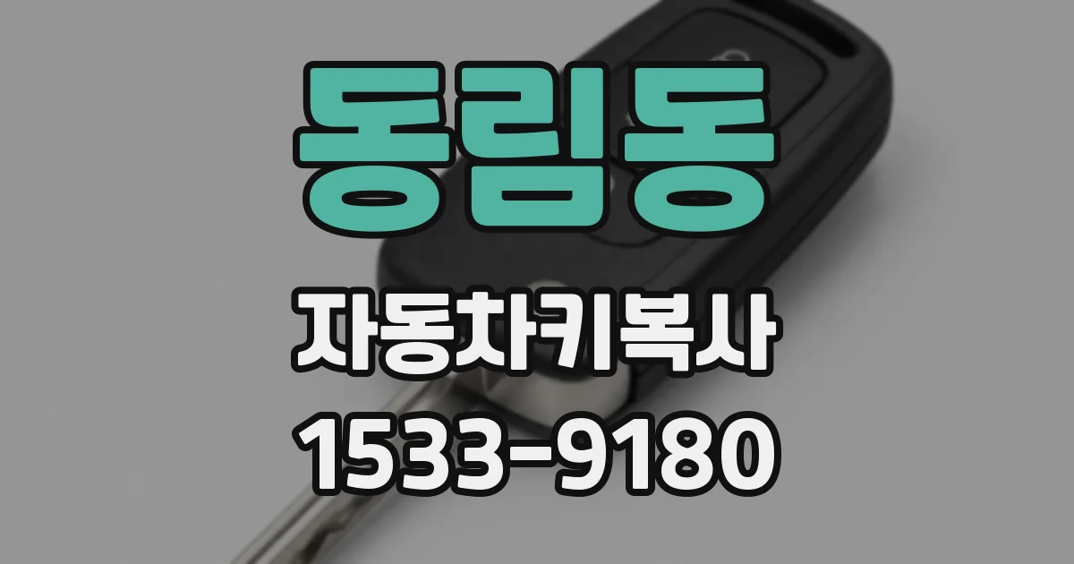 동림동 자동차키복사