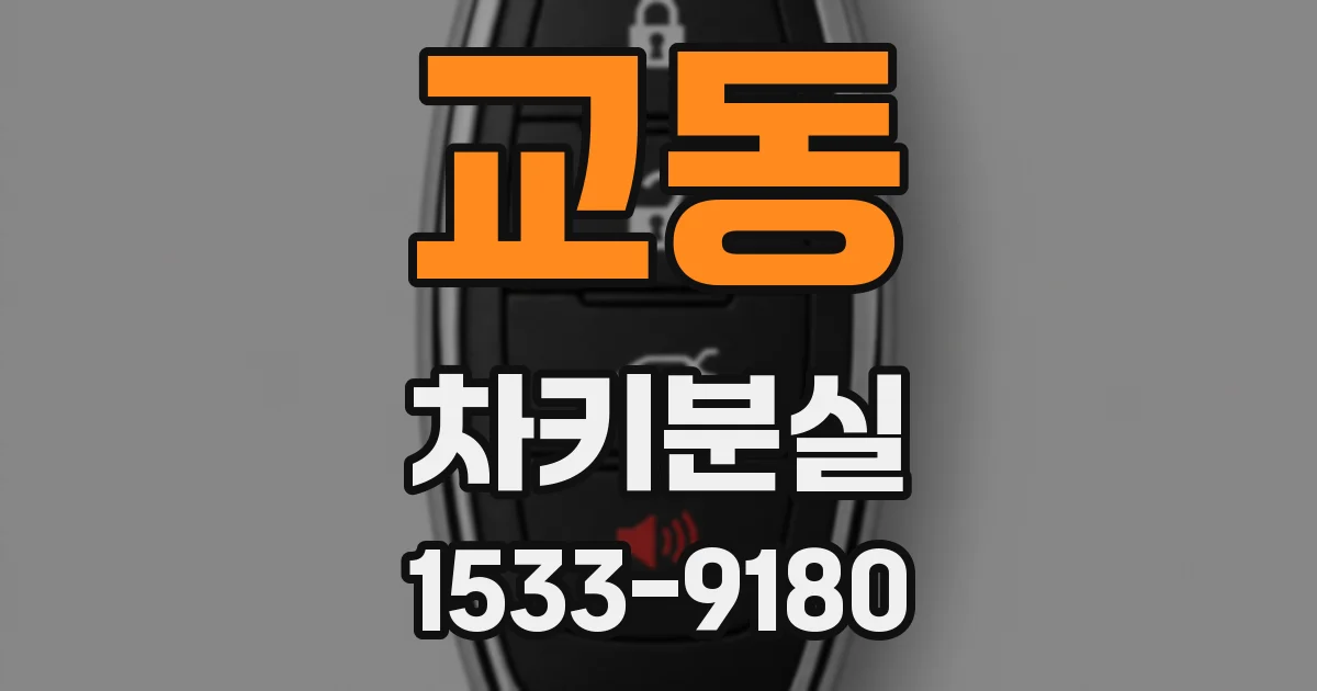 교동 차키분실