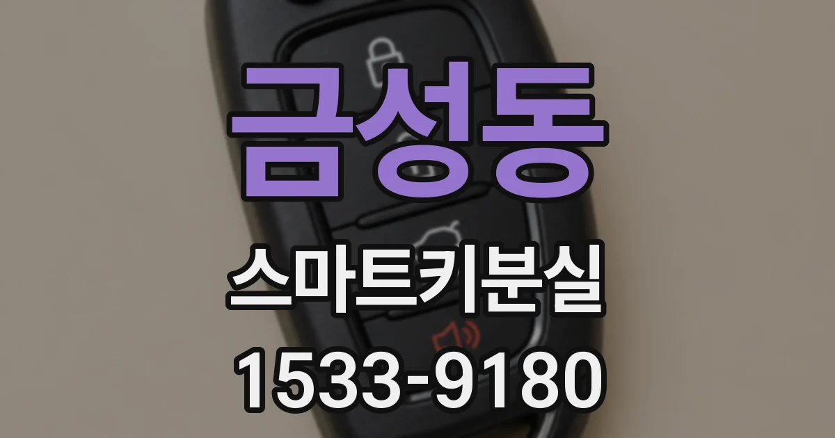 금성동 스마트키분실