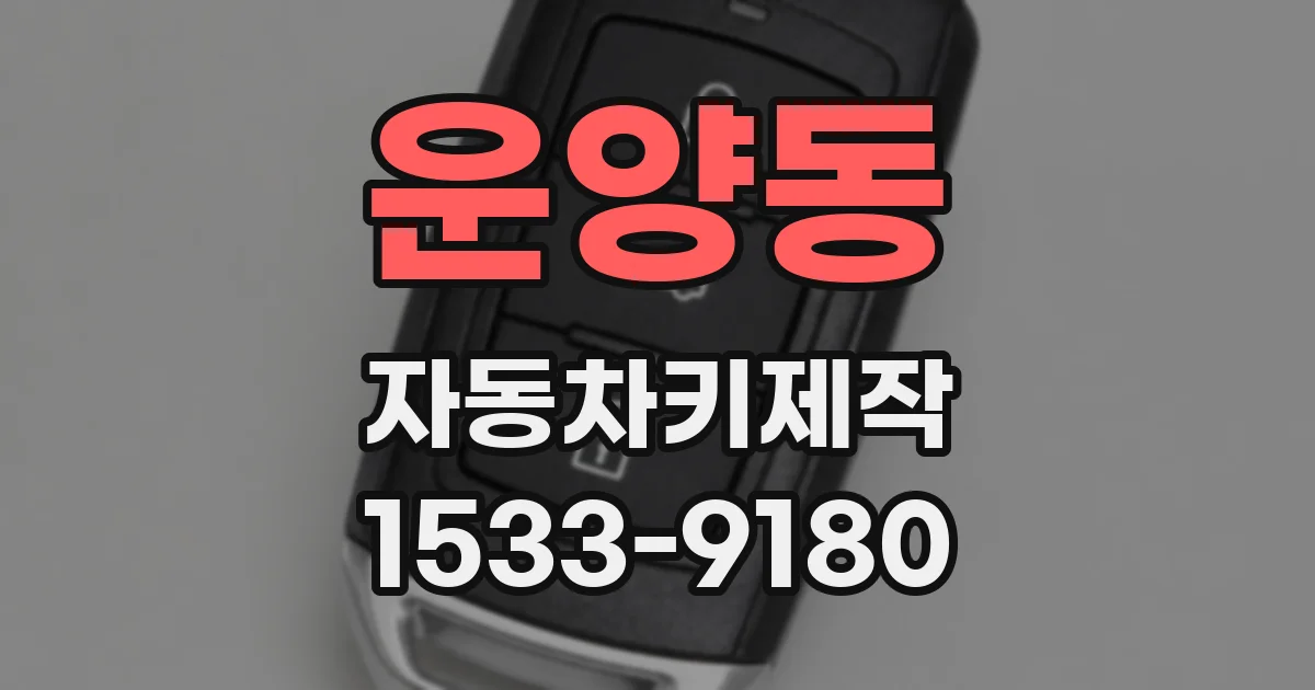 운양동 자동차키제작