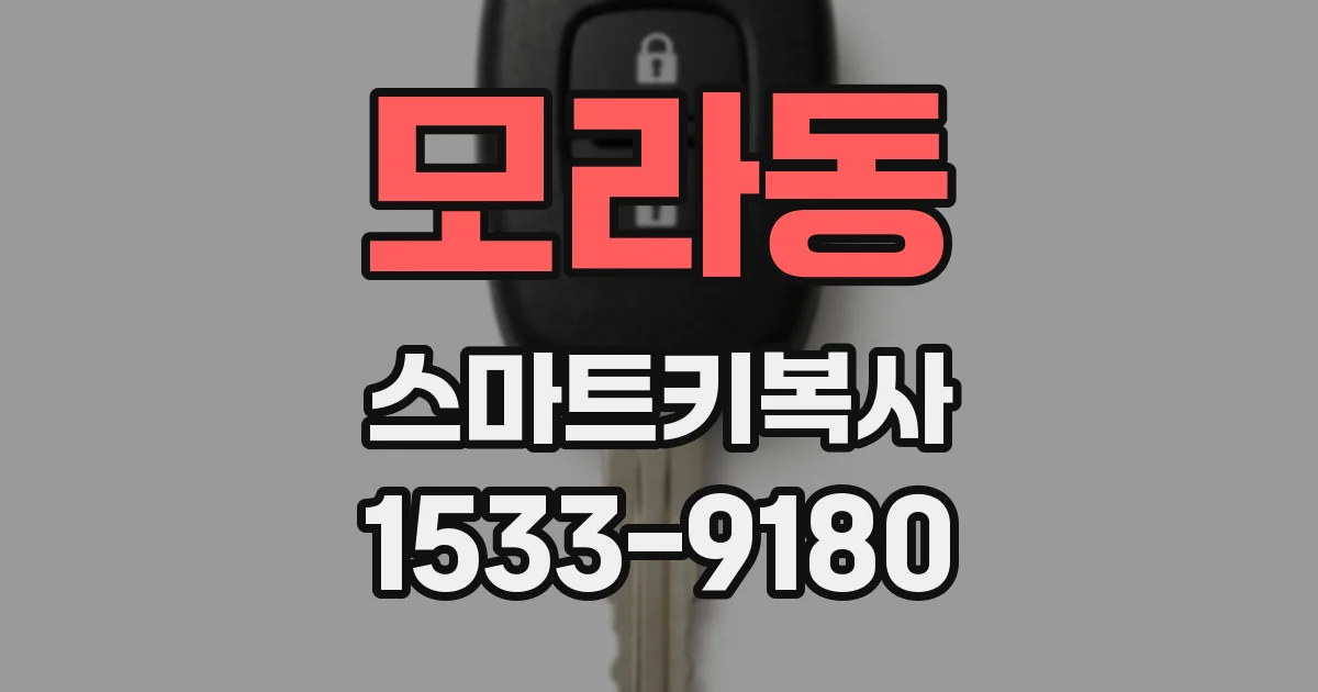 모라동 스마트키복사