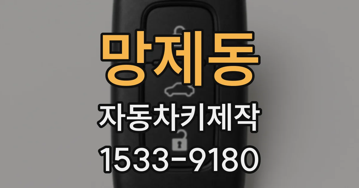 망제동 자동차키제작