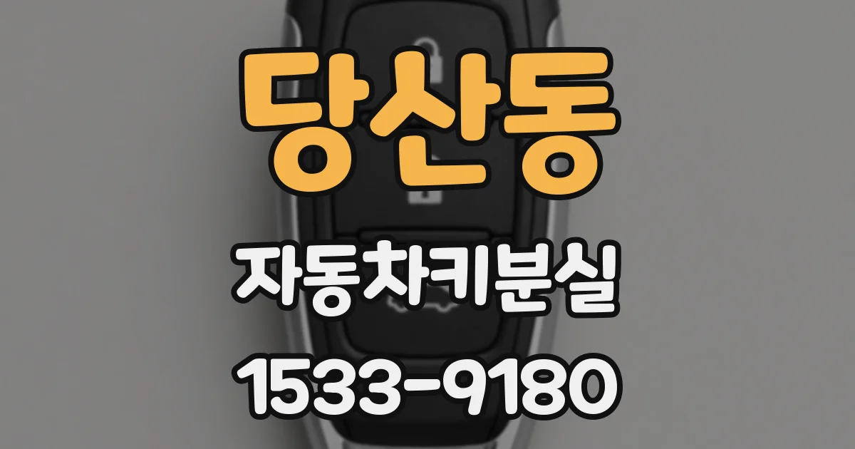 당산동 자동차키분실