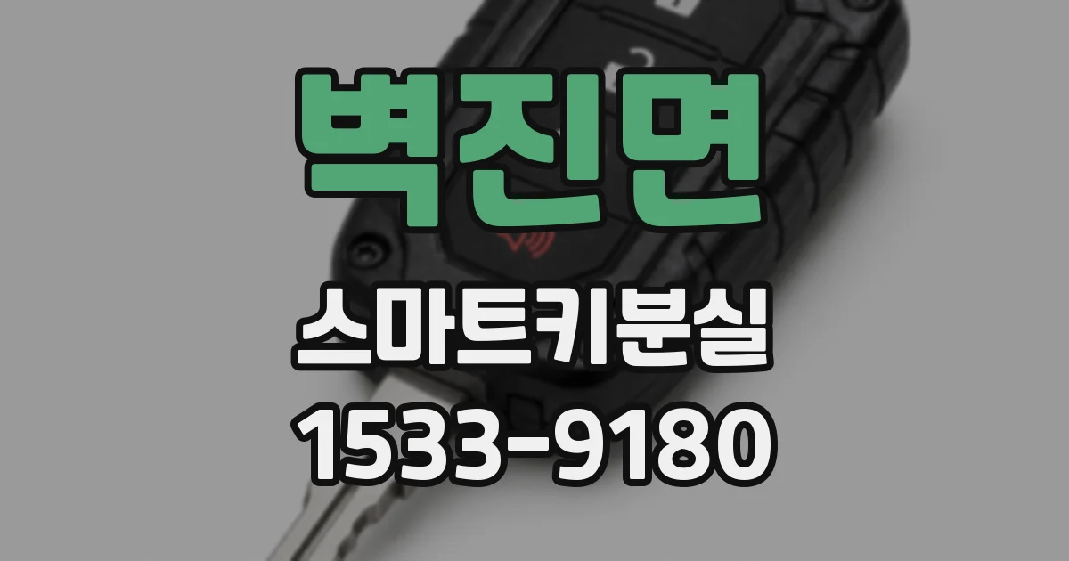 벽진면 스마트키분실