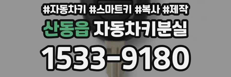 산동읍 자동차키분실