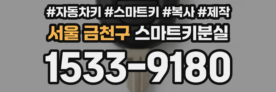 서울 금천구 스마트키분실