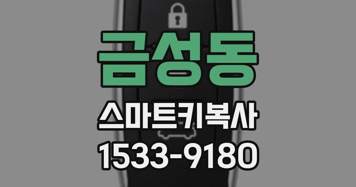 금성동 스마트키복사