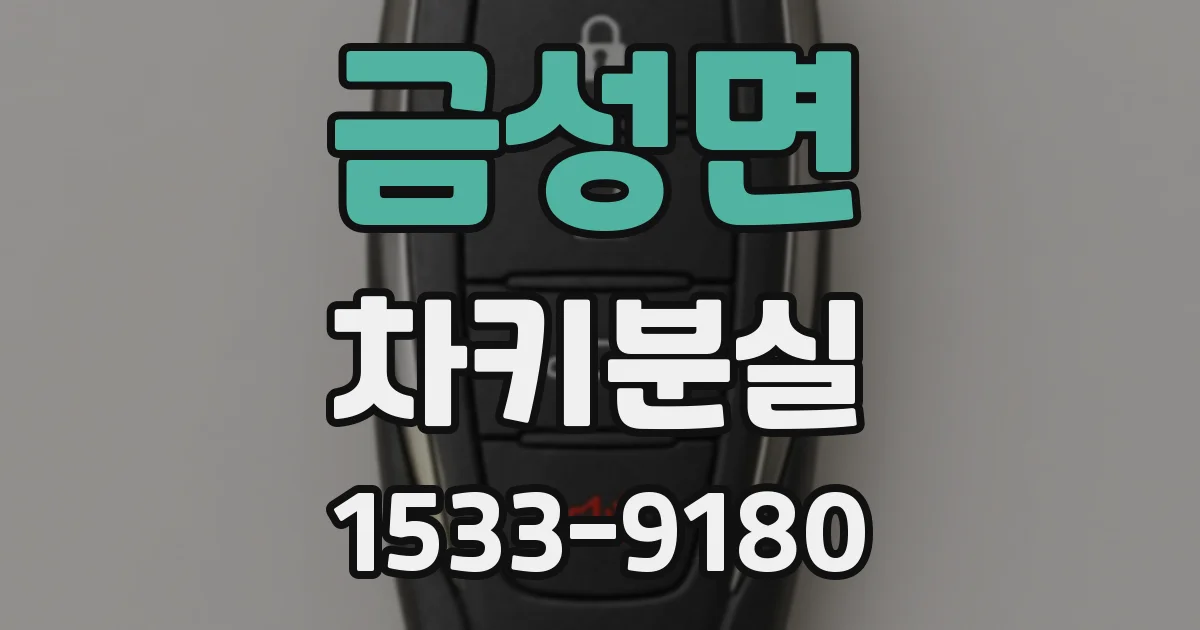금성면 차키분실
