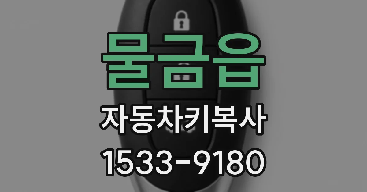 물금읍 자동차키복사