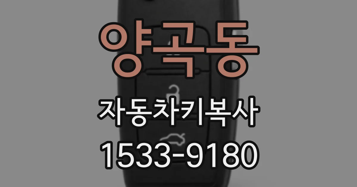 양곡동 자동차키복사
