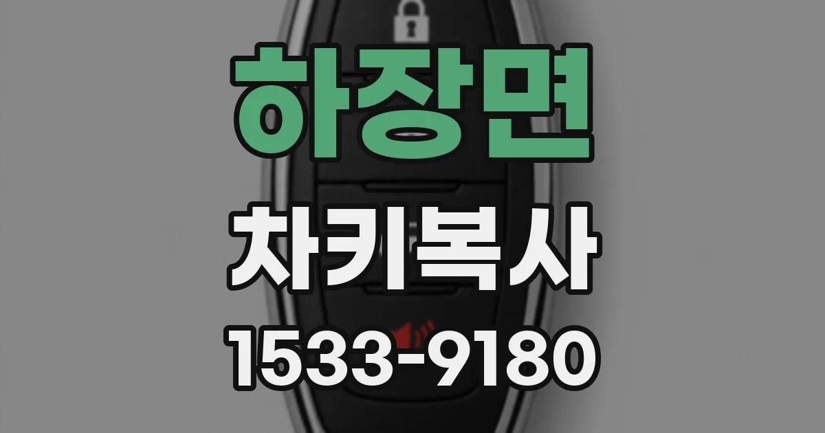 하장면 차키복사