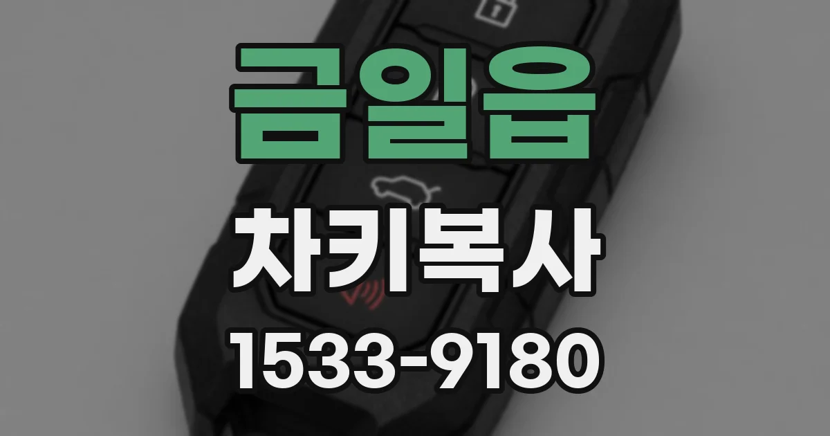 금일읍 차키복사