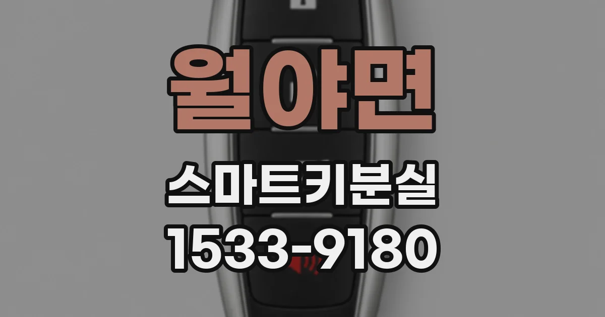 월야면 스마트키분실