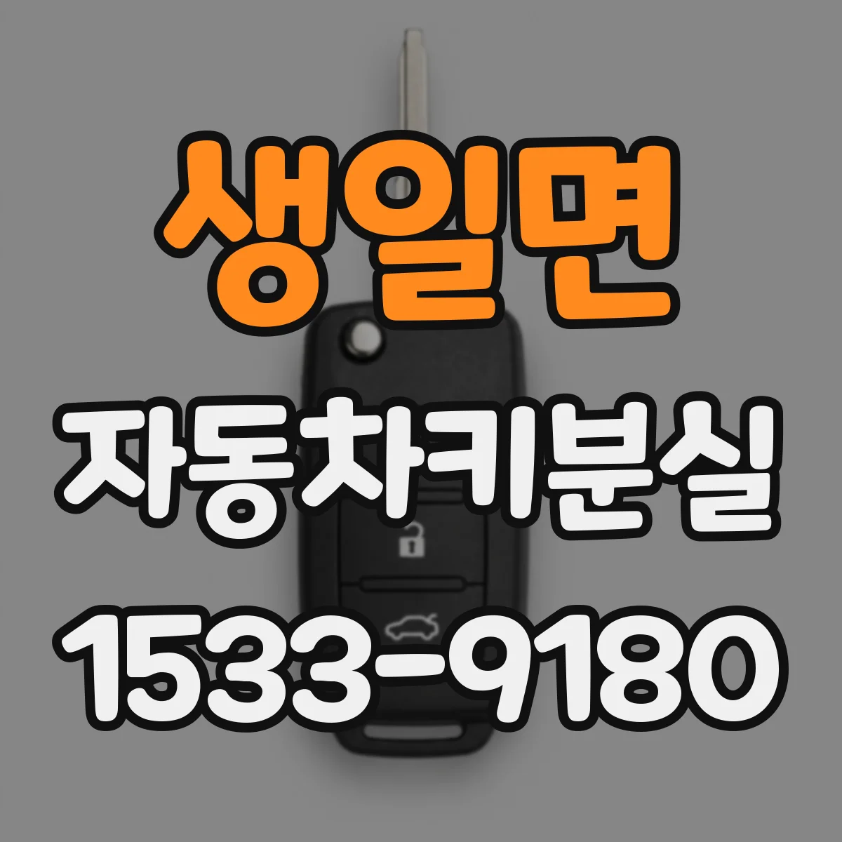 생일면 자동차키분실
