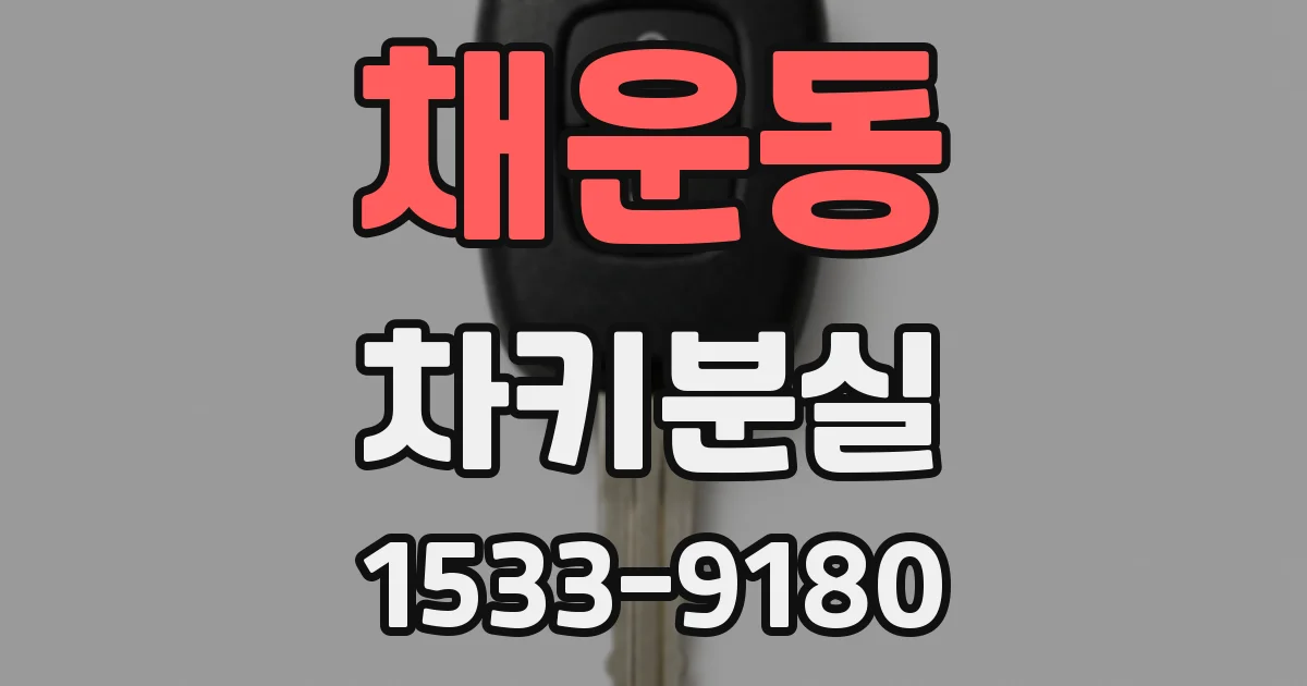채운동 차키분실