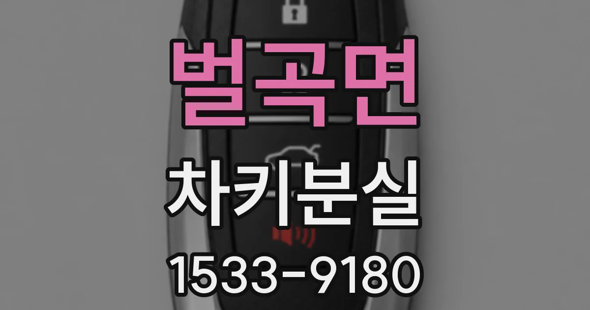 벌곡면 차키분실