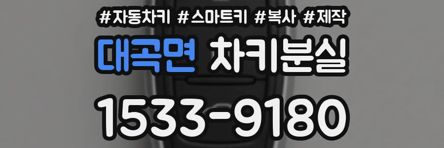 대곡면 차키분실
