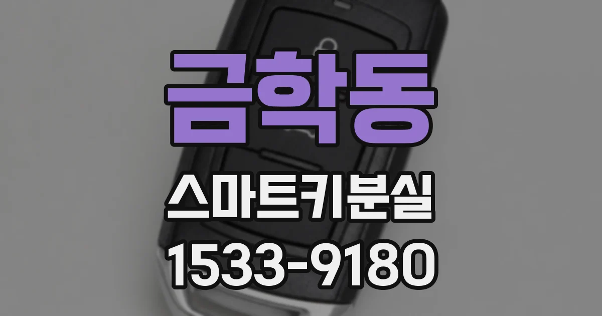 금학동 스마트키분실
