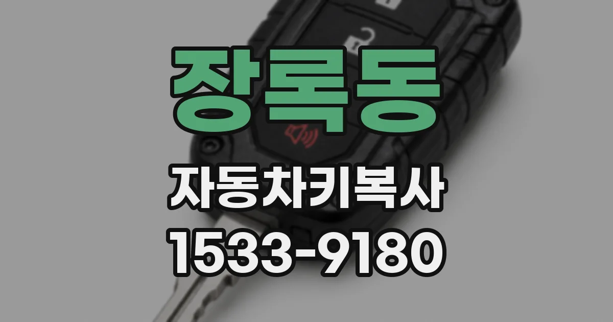 장록동 자동차키복사