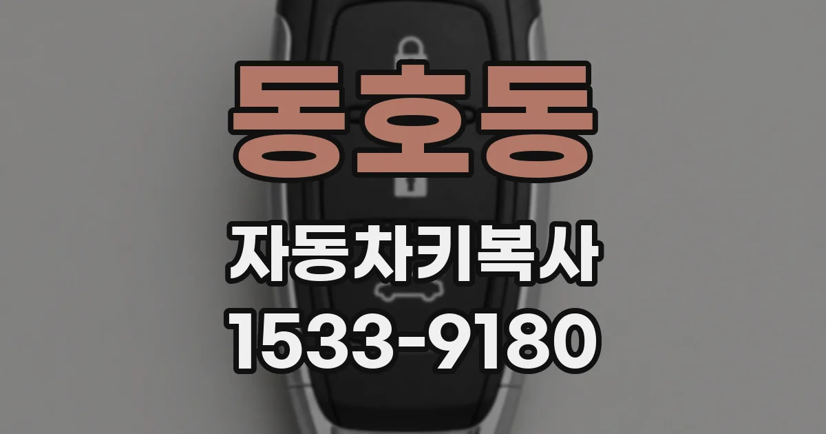 동호동 자동차키복사